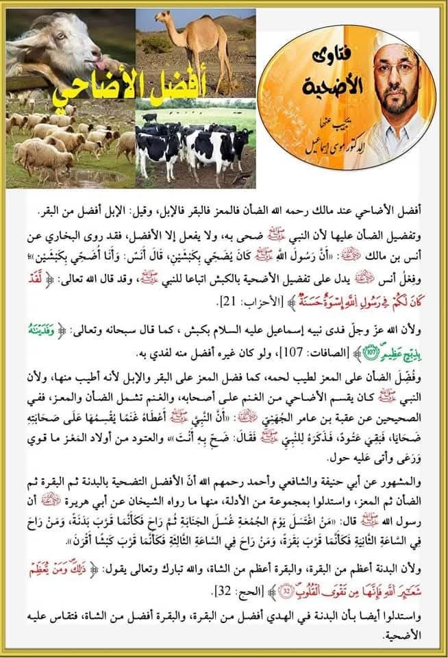 أفضل الأضاحي