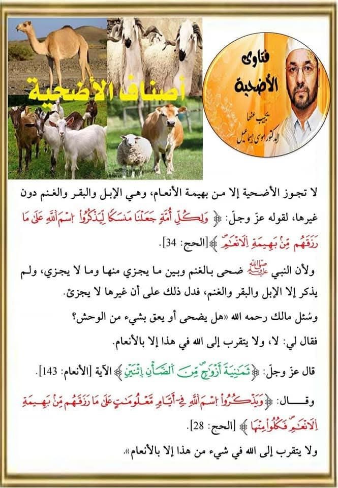 أصناف الأضحية