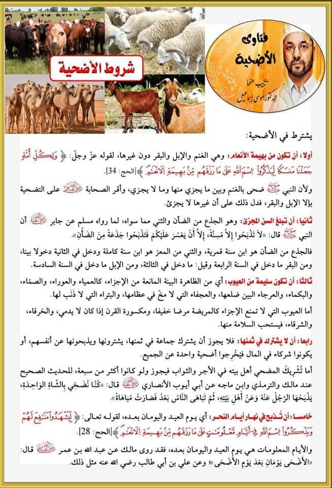 شروط الأضحية