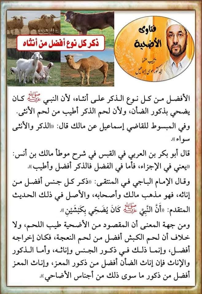ذكر كل نوع أفضل من أنثاه
