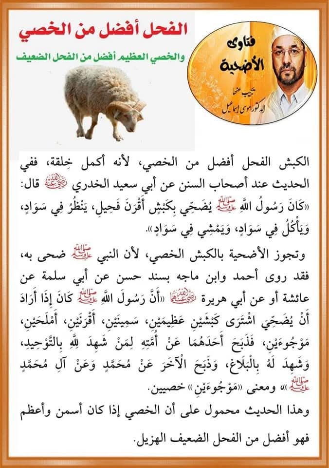 الفحل أفضل من الخصي